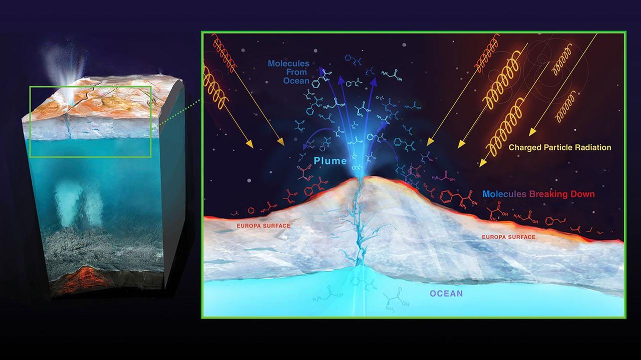 Der Wasserozean unter der Eisdecke des Jupitermondes Europa könnte ein Ort des Lebens sein