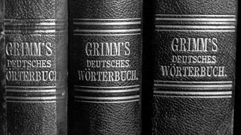Buchrücken des Grimm'schen Wörterbuchs.
