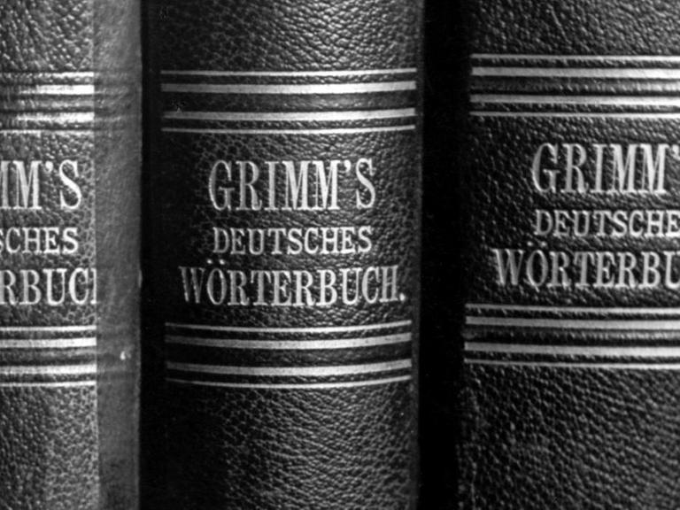 Buchrücken des Grimm'schen Wörterbuchs.