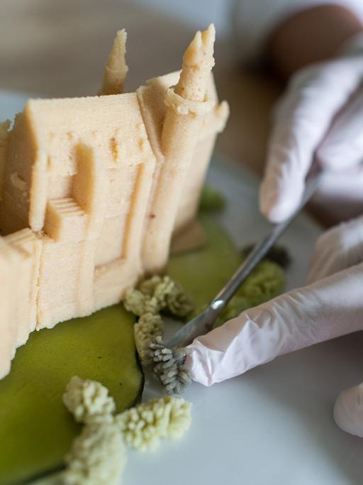 Schloss Neuschwanstein aus Marzipan: Das Team des Freisinger Start-ups Print2Taste hat die Süßspeise mit dem 3D-Drucker "Bocusini" in Form gebracht.