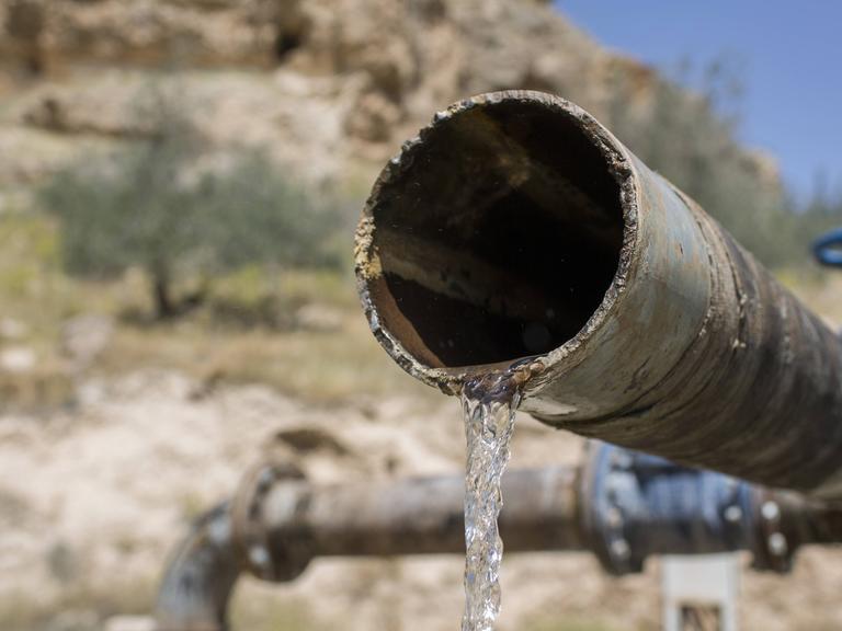Hedan Brunnenfeld, Jordanien