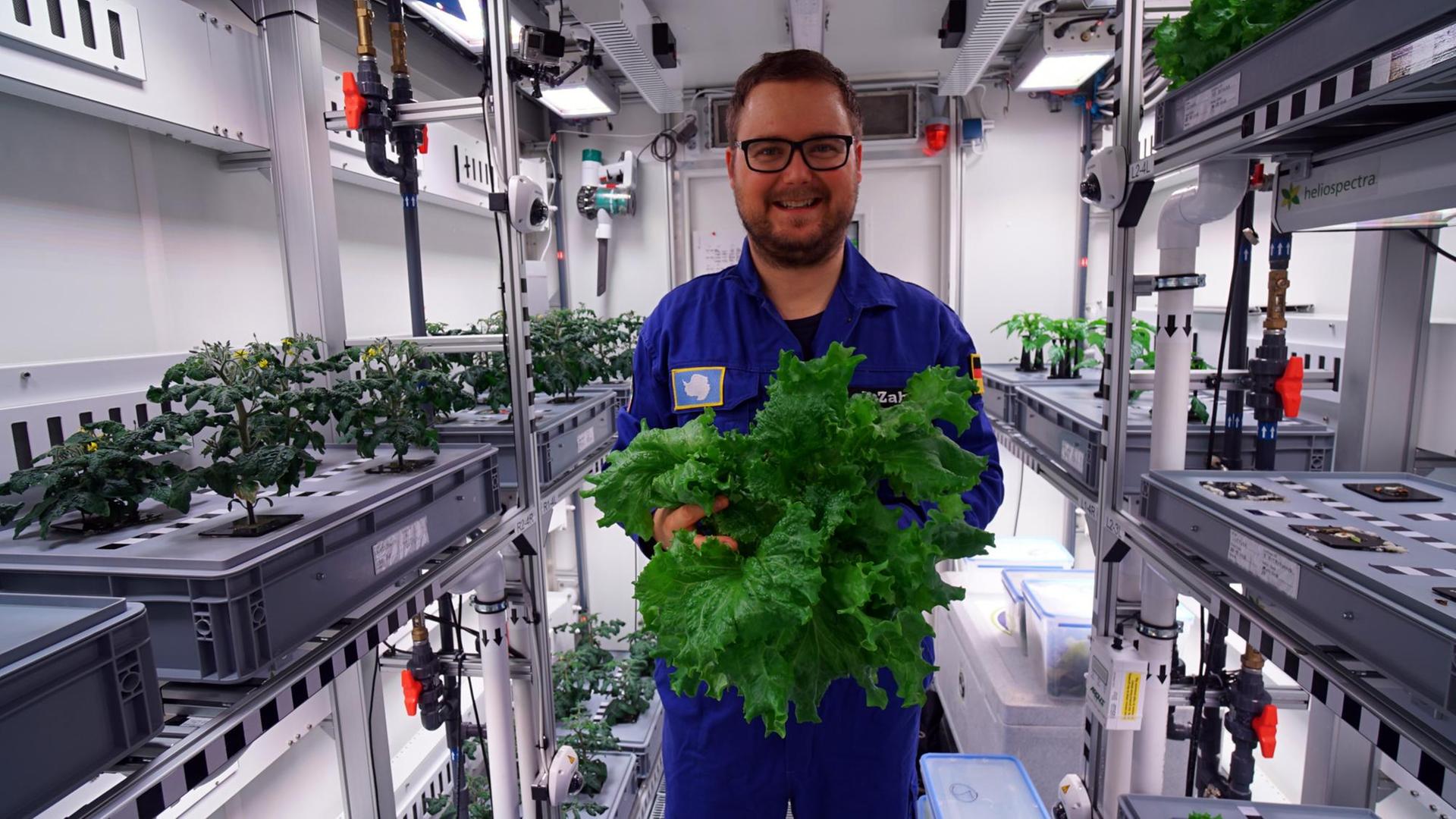 Die Pflanzen in der EDEN-ISS wachsen ohne Erde in Substrat-Containern mit geschlossenem Wasserkreislauf.