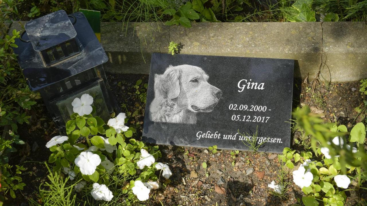 Grabstein auf Tierfriedhof in Berlin