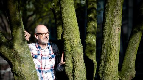 Das Foto zeigt den Förster und Bestseller-Autor Peter Wohlleben, wie er zwischen zwei Bäumen steht.