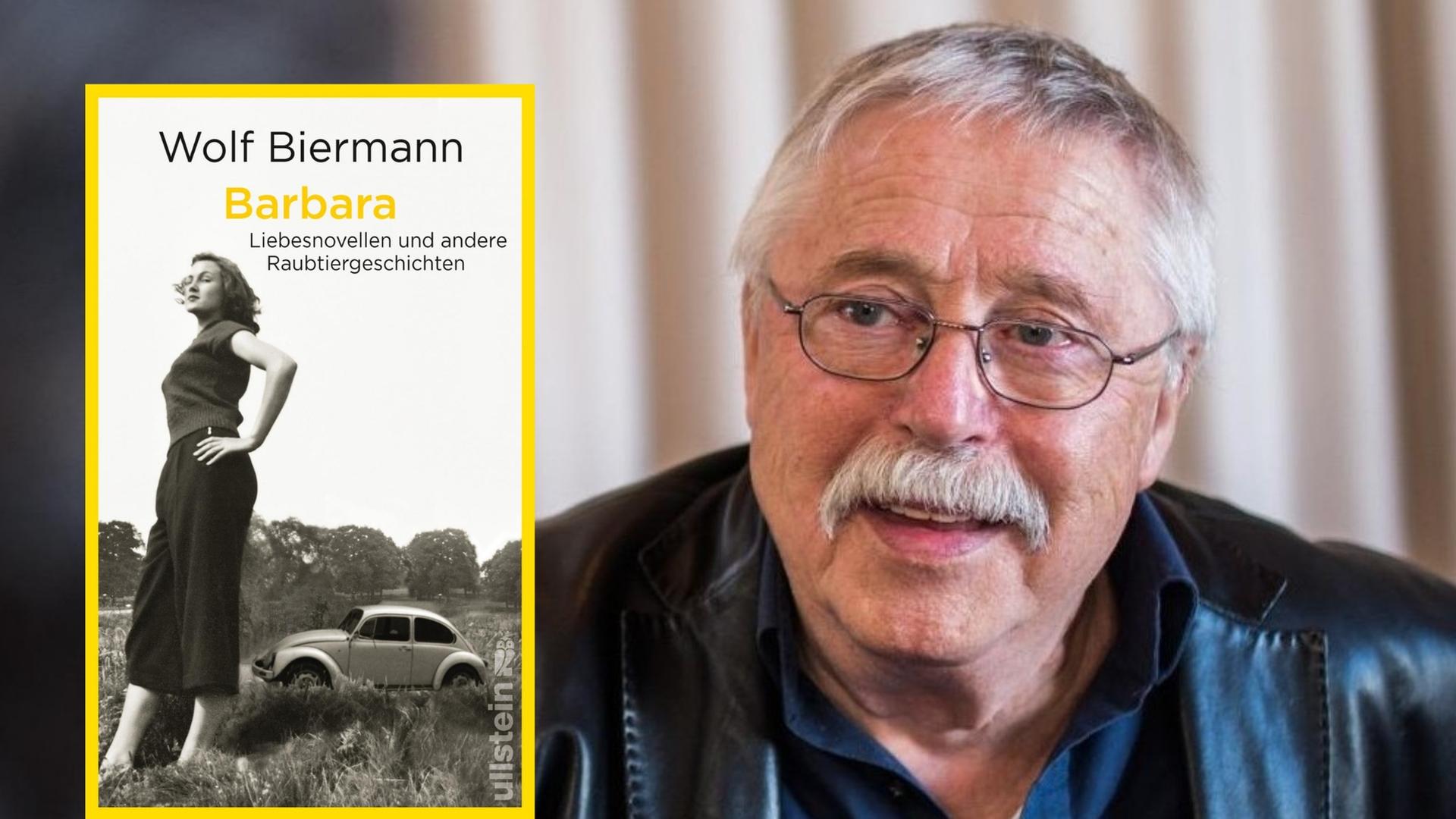 Buchcover: Wolf Biermann: „Barbara. Liebesnovellen und andere Raubtiergeschichten“