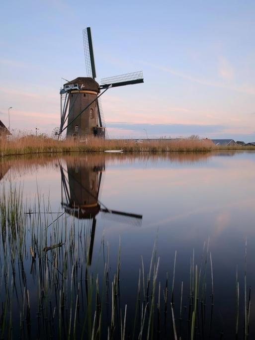 Eine Windmühle spiegelt sich am 19.04.2017 in einem See bei Leiden (Niederlande). Foto: Kevin Kurek/dpa | Verwendung weltweit