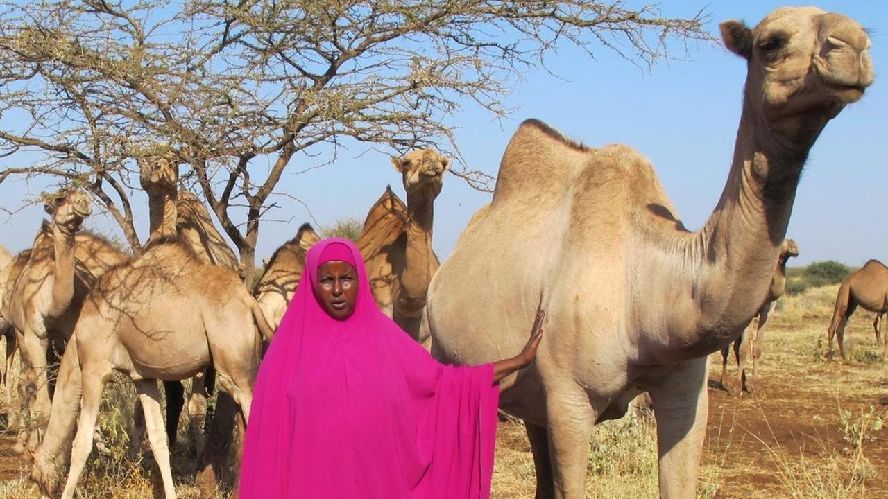Kenianerin in rotem Gewand steht in ihrer Kamelherde