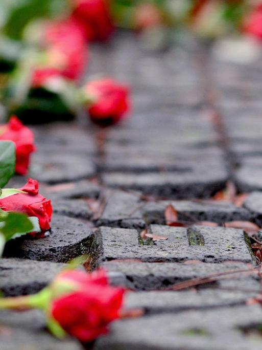 Rote Rosen liegen während eines Erinnerungsgangs zum Gedenken an die Ereignisse der Reichspogromnacht im November 1938 auf einem Mahnmal in Oldenburg.