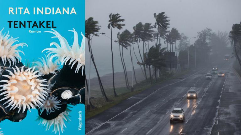 Cover Rita Indiana: "Tentakel" und im Hintergrund ein Tropensturm