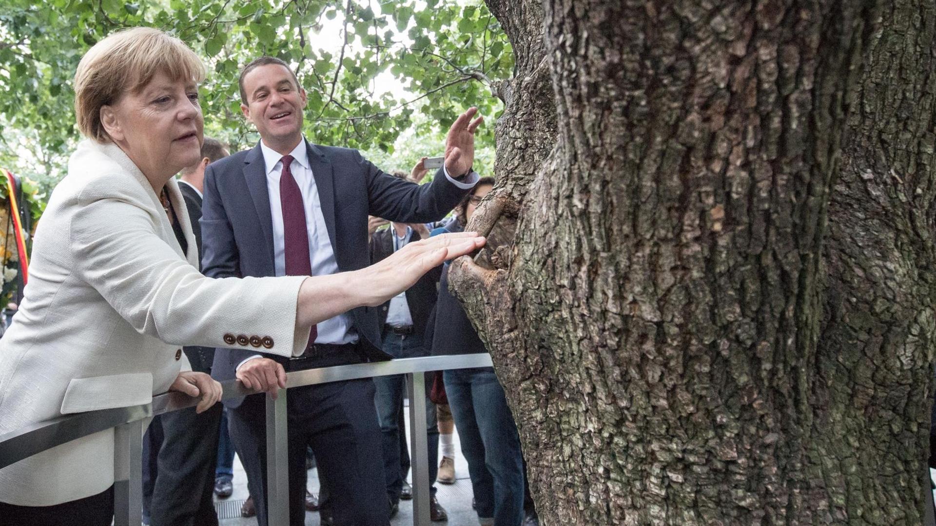 Bundeskanzlerin Angela Merkel (CDU) schaut sich am Ground Zero Memorial zusammen am 26.09.2015 in New York den Survivor Tree an.