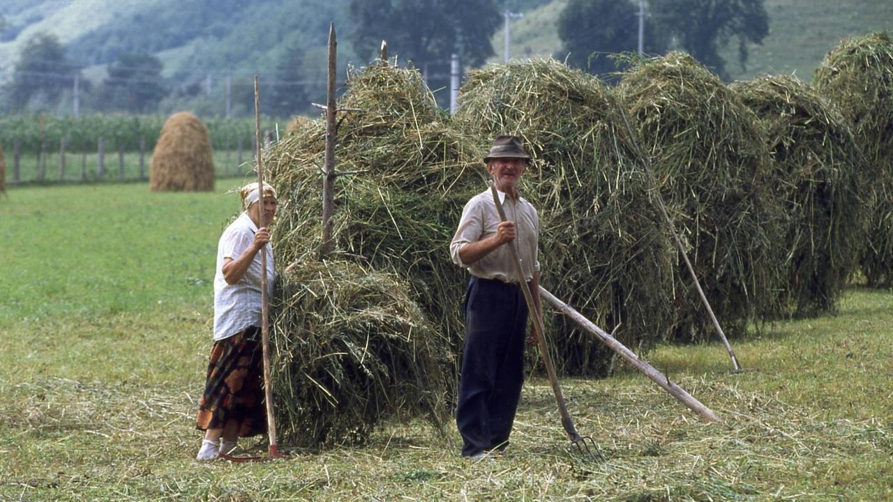 Ein Bauenpaar steht mit Heugabeln in den Händen vor mehreren Heuballen auf einem Feld