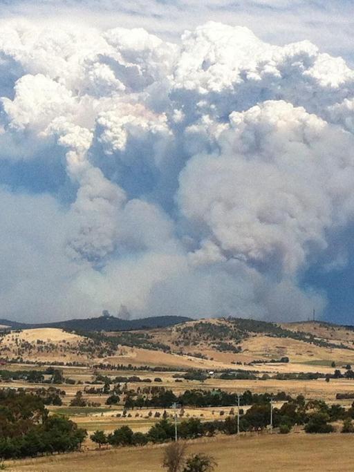 Wald- und Buschfeuer in Tasmanien