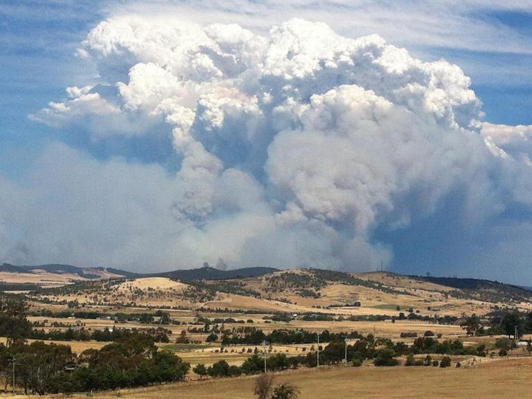 Wald- und Buschfeuer in Tasmanien