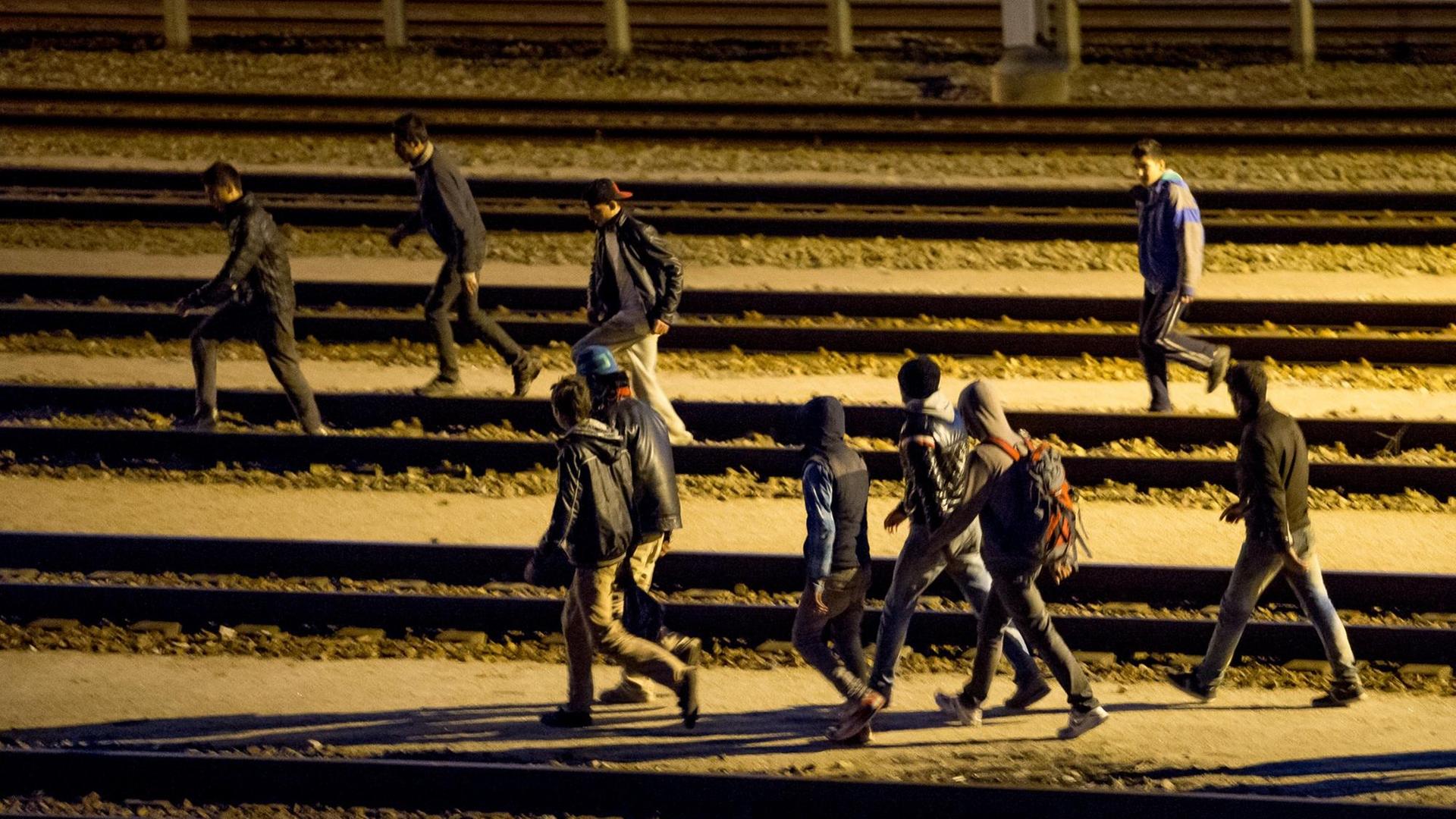 Flüchtlinge versuchen, auf den Schienen zum Euro-Tunnel zu kommen.