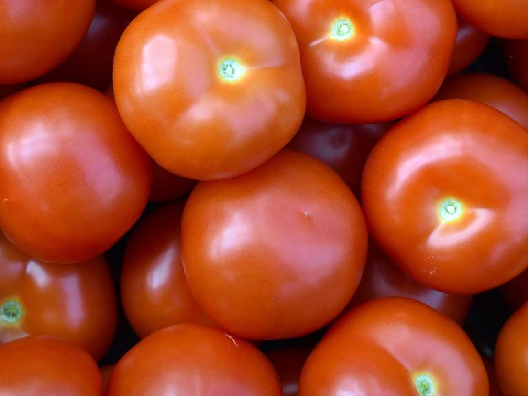 Zu sehen sind viele Tomaten.
