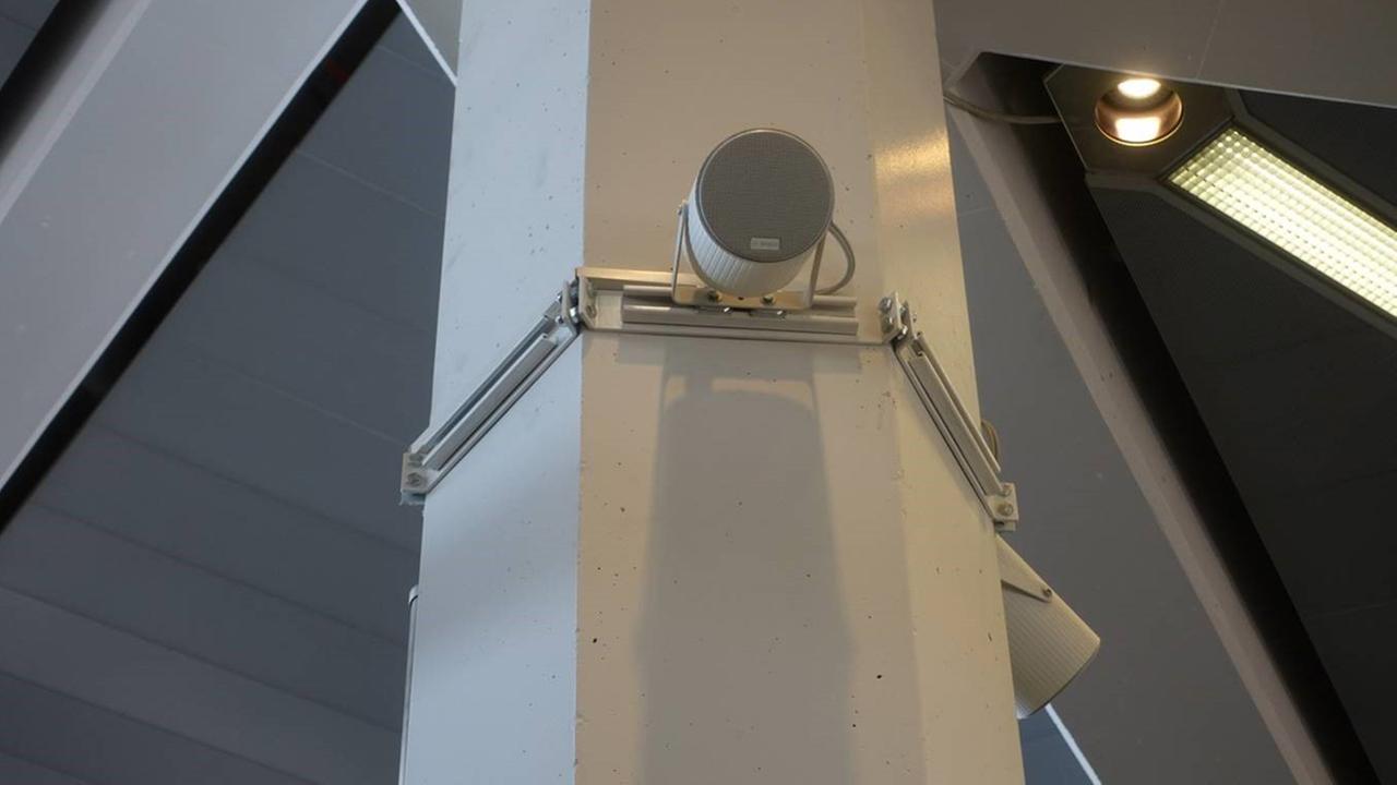 Leider liegt für dieses Bild keine Bildbeschreibung vor