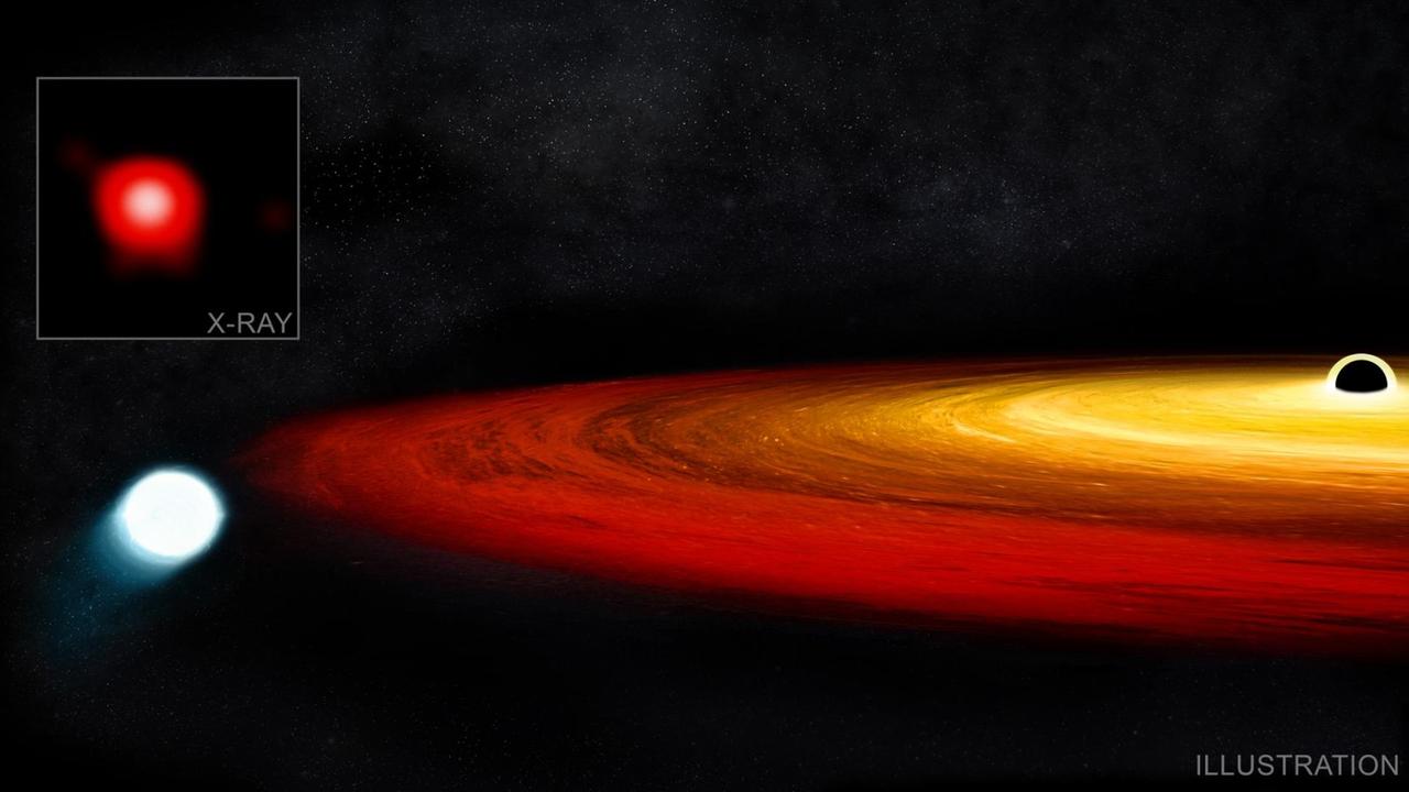 Zeichnerische Darstellung des Weißen Zwergs in auf der engen Umlaufbahn um das Schwarze Loch