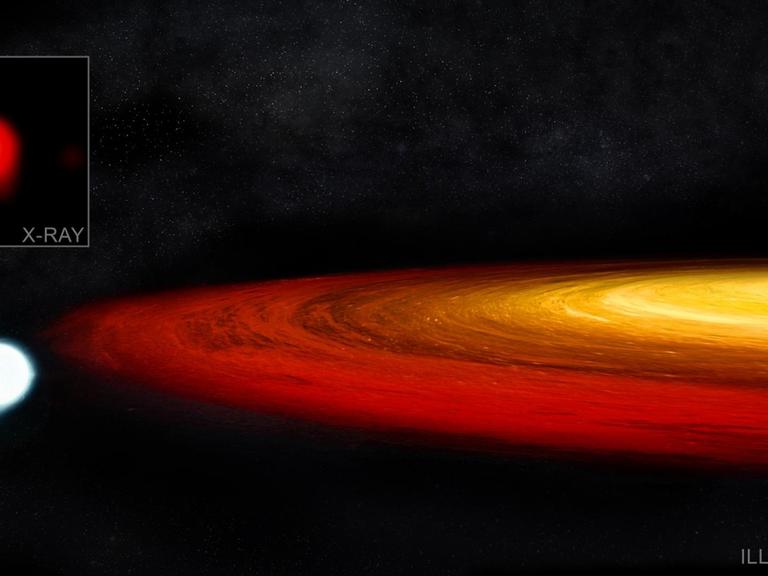 Zeichnerische Darstellung des Weißen Zwergs in auf der engen Umlaufbahn um das Schwarze Loch