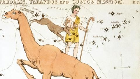 Das Sternbild Messier neben dem inzwischen ebenfalls gestrichenen Rentier in einer historischen Darstellung. Die Giraffe darunter gibt es noch heute.
