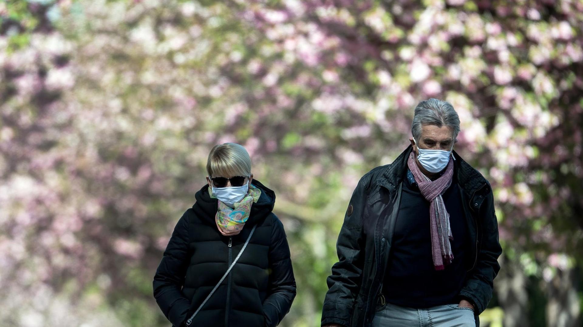 Zwei Spaziergänger gehen Ende April mit ihren Masken unter blühenden Kirschbäumen spazieren.