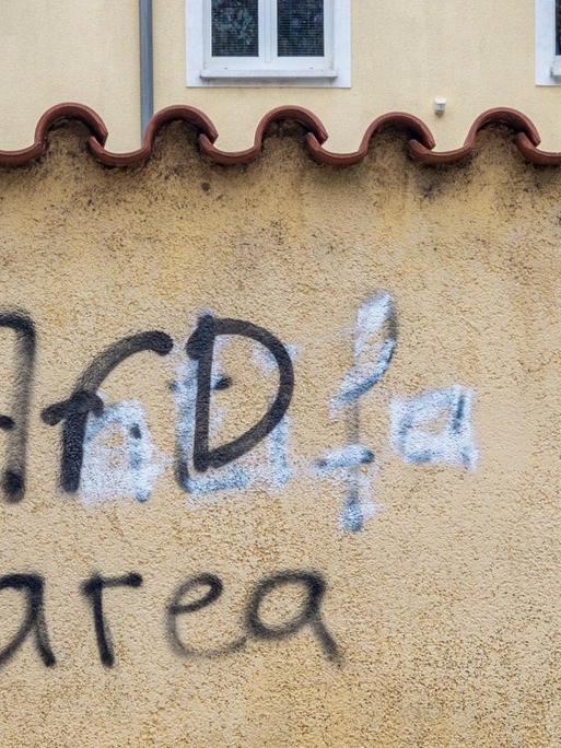 Der Text "AfD area" ist als Graffiti auf eine Grundstücksmauer in Leipzig gesprüht. Darunter stand vorher "antifa".