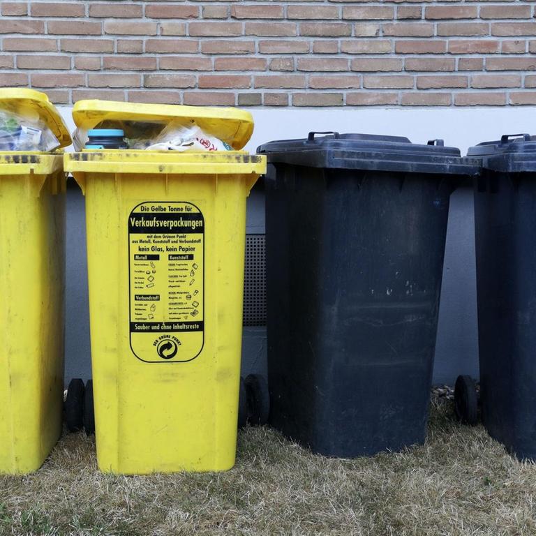Vier Mülltonnen stehen an einer Hauswand in Düsseldorf 