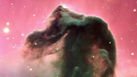 Der Pferdekopfnebel im Orion: Williamina Flemings schönste Entdeckung