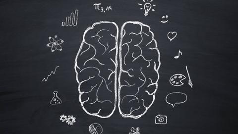 Auf einer Tafel sind zwei Gehirnhälften mit Symbolen für wissenschaftliche Zweige zu sehen, etwa für Mathematik, Musik, Chemie, Wirtschaft und Physik