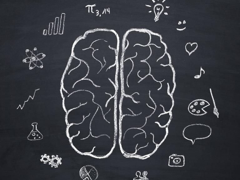 Auf einer Tafel sind zwei Gehirnhälften mit Symbolen für wissenschaftliche Zweige zu sehen, etwa für Mathematik, Musik, Chemie, Wirtschaft und Physik