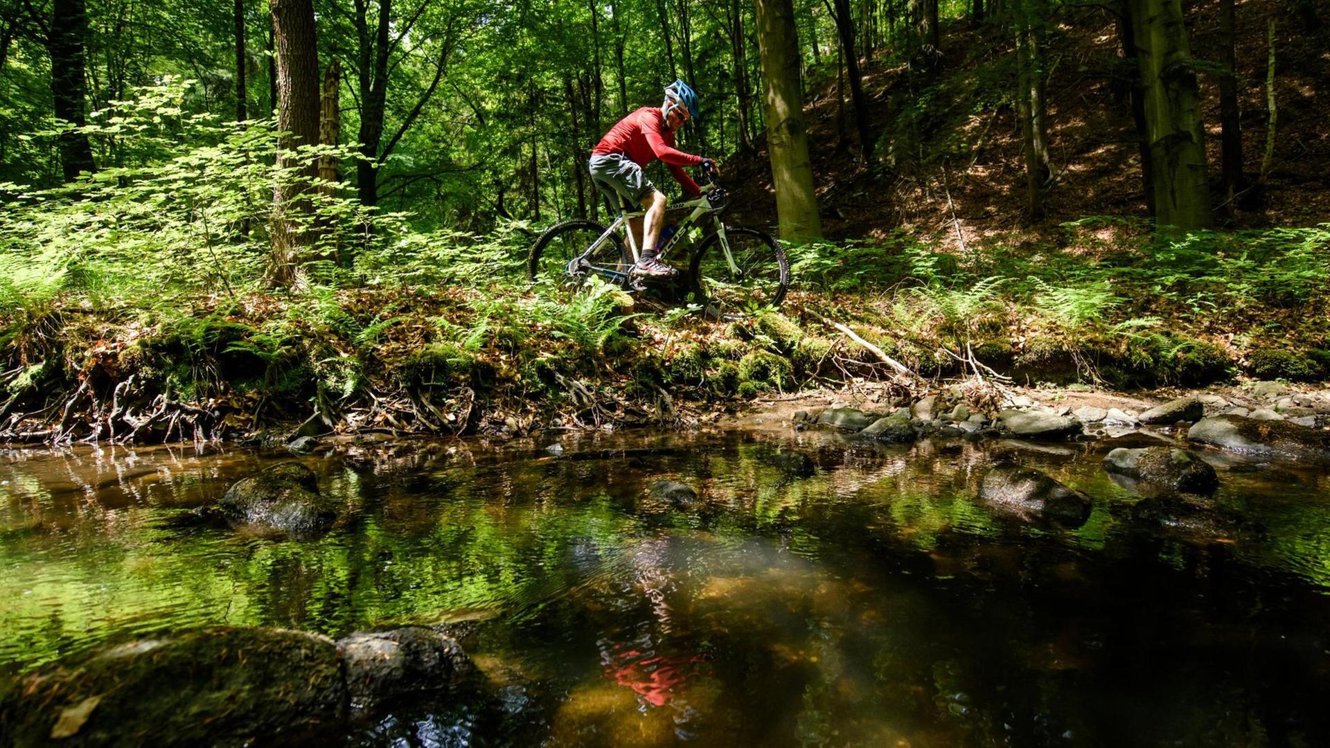 Illustration - Ein Mann fährt auf seinem Mountainbikean einem Bach entlang Illustration - Ein Mann fährt auf seinem Mountainbikean einem Bach entlang