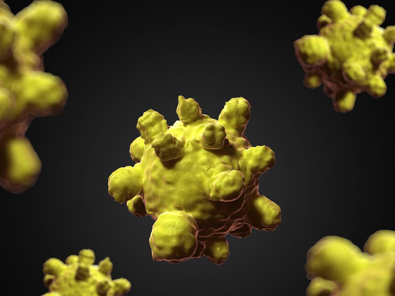 Computer-Animation eines Masernvirus