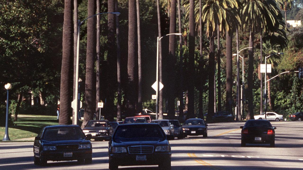 Der Palms Drive in der US-amerikanischen Millionenstadt Los Angeles