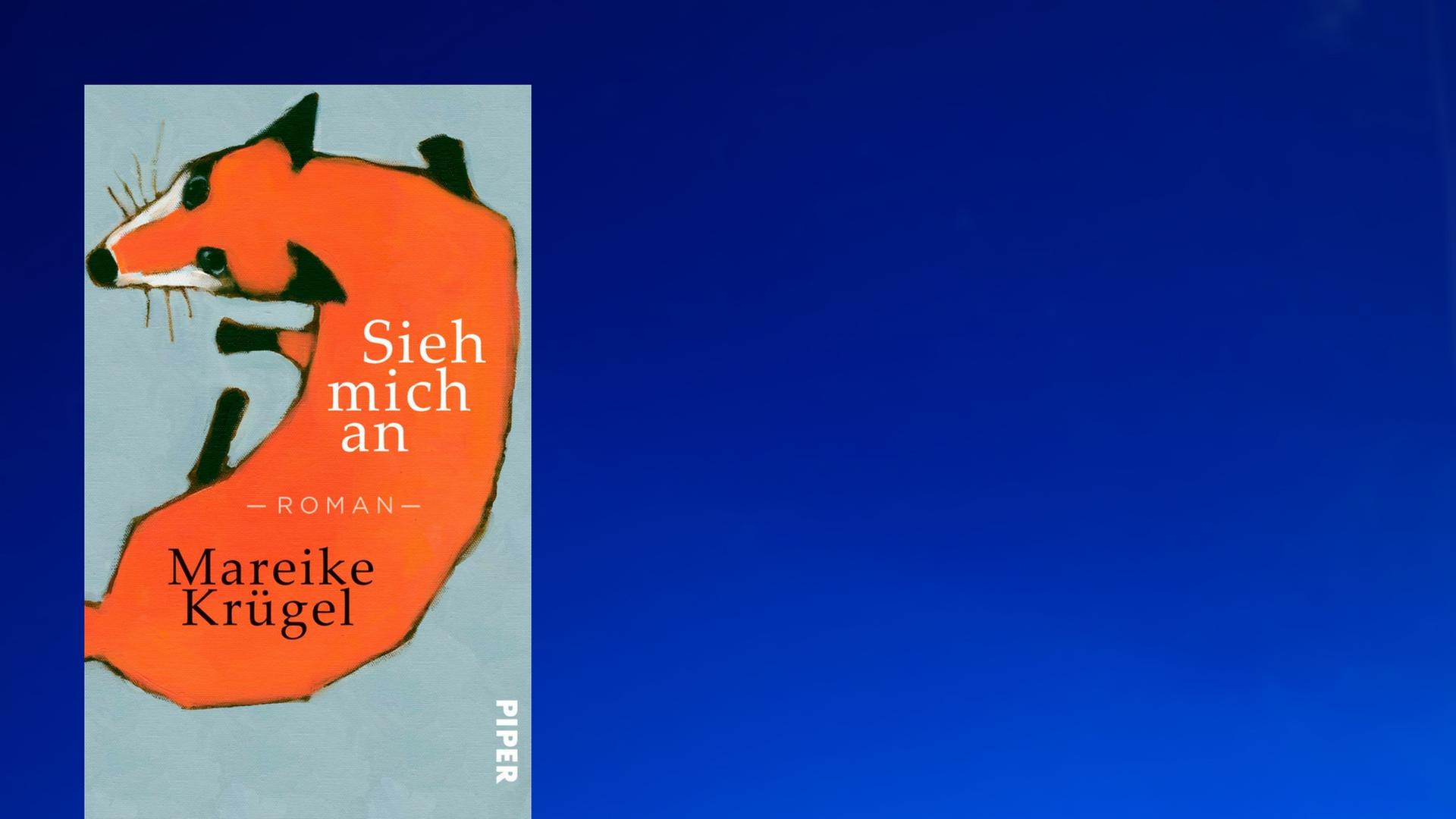 Im Vordergrund das Buchcover von Mareike Krügels "Sieh mich an", im Hintergrund blaues Wasser. Im Vordergrund das Buchcover von Mareike Krügels "Sieh mich an", im Hintergrund blaues Wasser.