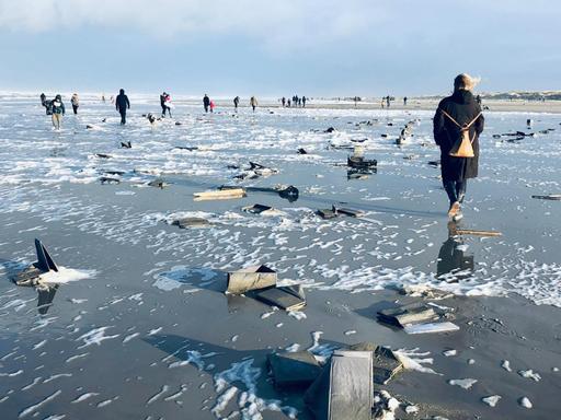 Angespültes Treibgut an einem niederländischen Strand