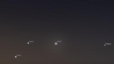 Morgen früh bilden Venus, Jupiter und die Mondsichel ein hübsches Dreieck.