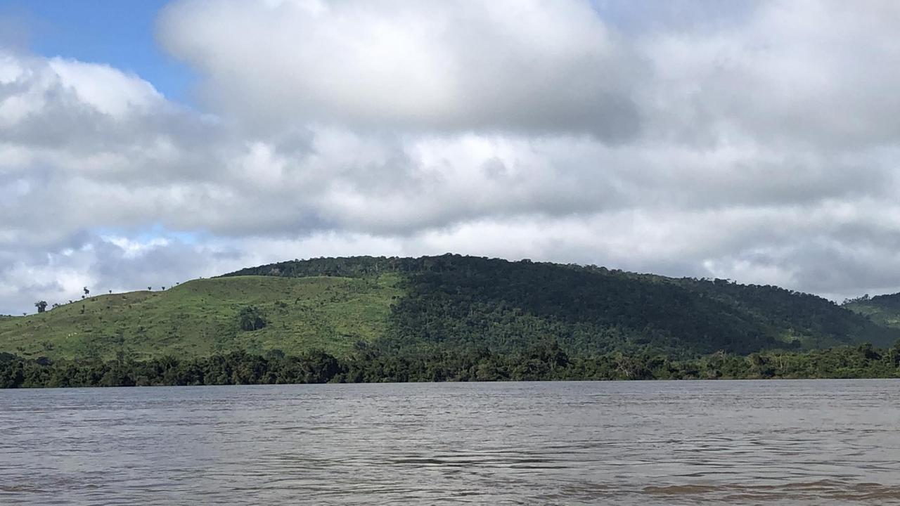 Rodungen im Regenwald - In Pará nehmen die Abholzungen immer weiter zu, die Agrargrenze, also die Grenze des landwirtschaftlich genutzten Landes  verschiebt sich immer weiter nach Norden.