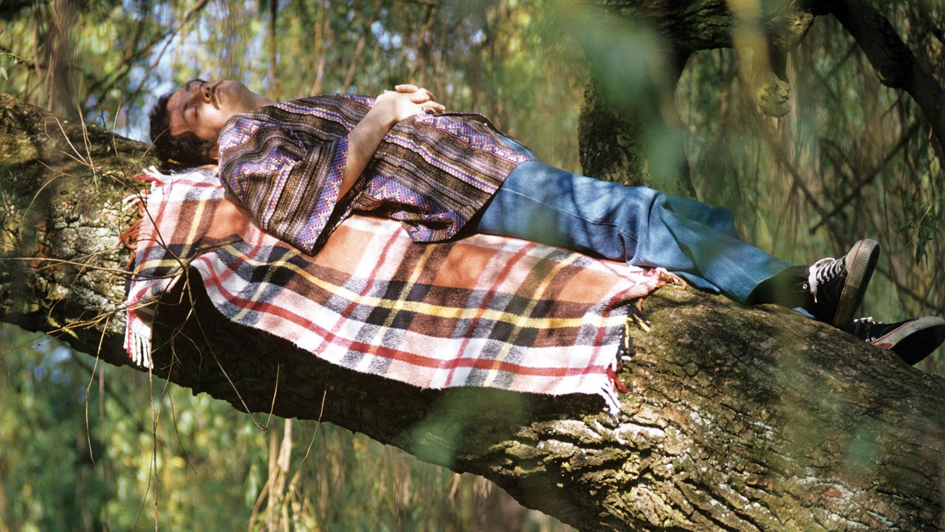 Ein Mann hat auf dem kräftigen Ast eines Baumes eine Decke ausgebreitet und sich zu einem Nickerchen hingelegt.
