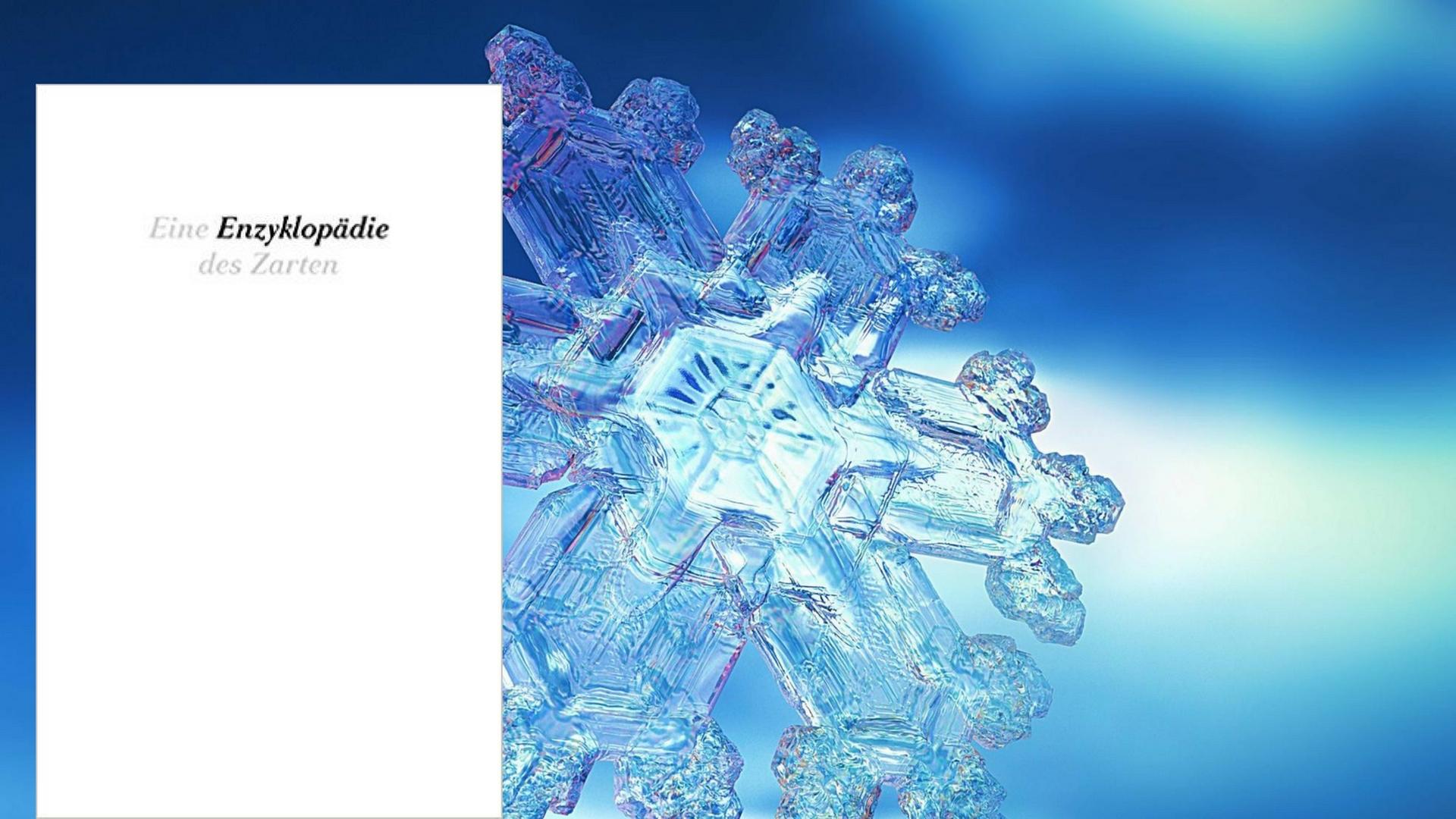 Cover von "Eine Enzyklopädie des Zarten", eine Schneeflocke