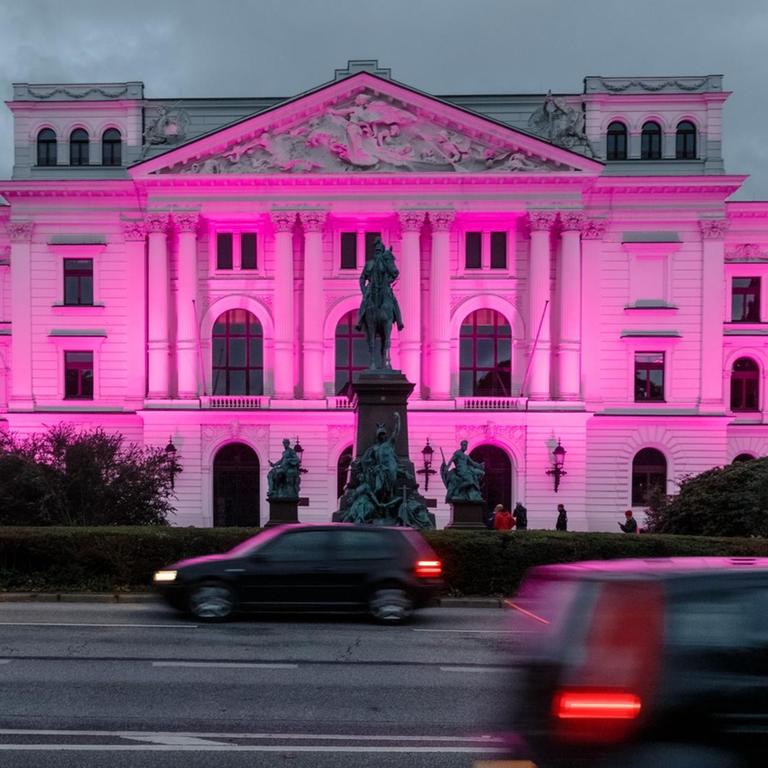 Das Rathaus Altona wird während einer Beleuchtungsaktion der Kinderhilfsorganisation "Plan International" pink angestrahlt, um damit auf die mangelnde Gleichberechtigung von Mädchen in vielen Ländern der Welt aufmerksam zu machen. Die Aktion findet bundesweit in etwa 30 Städten statt.