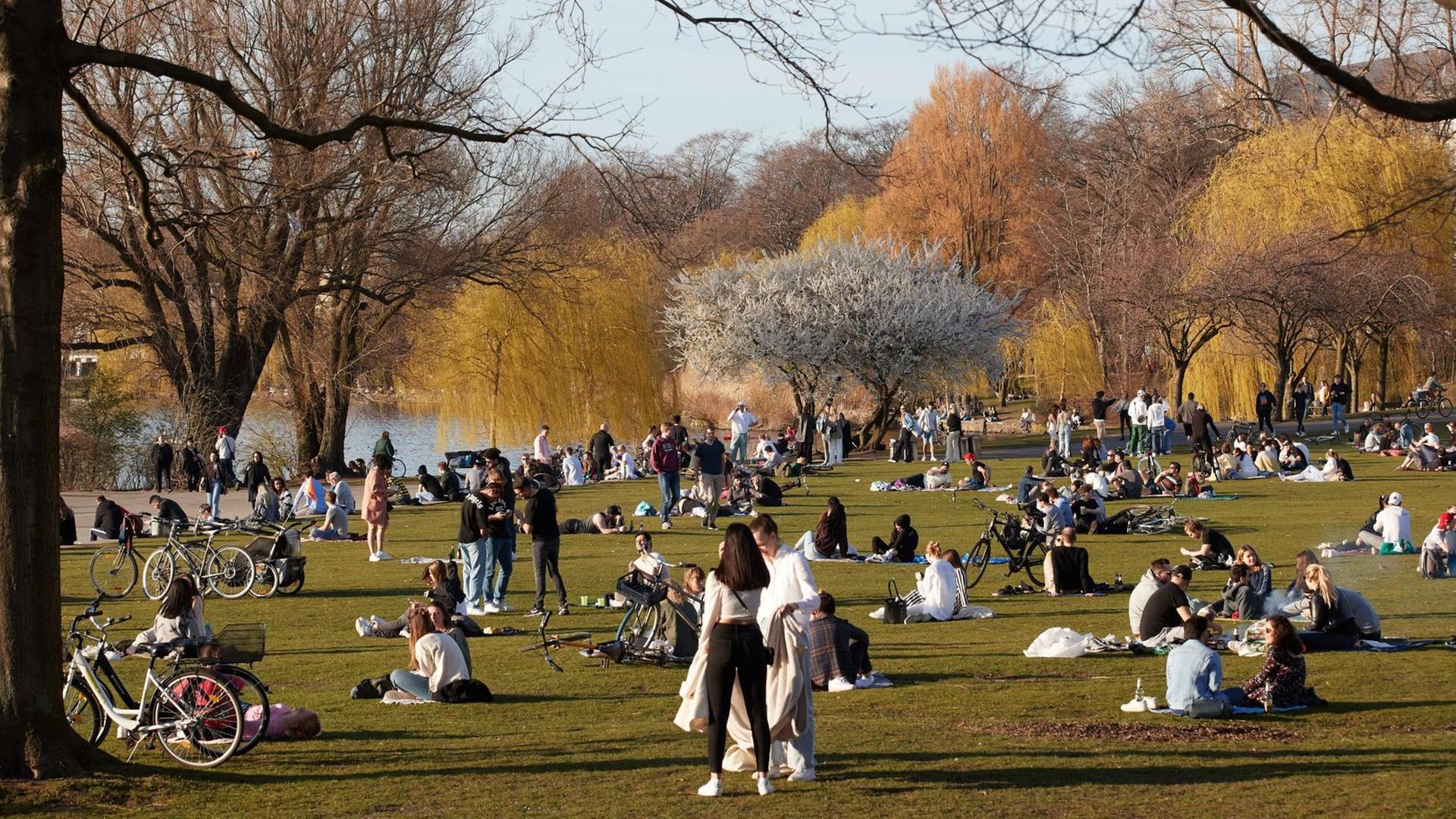Menschen genießen die Abendsonne auf der Alsterwiese Schwanenwik in Hamburg.
