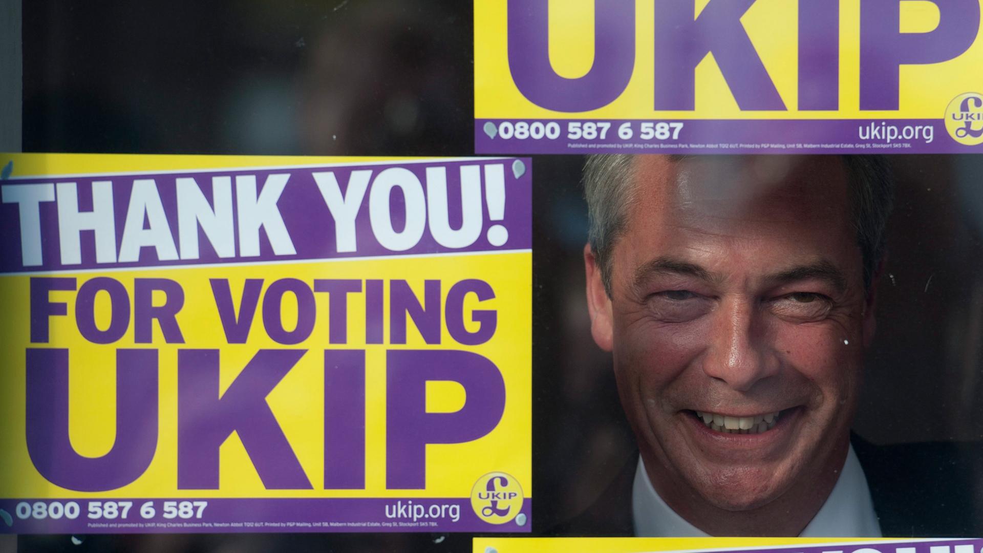 UKIP-Parteichef Nigel Farage schaut durch ein Fenster des Wahlkampfbüros in Clacton-on-Sea, neben, über und unter ihm Plakate mit der Aufschrift "Thank you for voting UKIP"