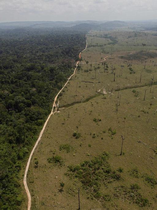 Luftaufnahme zeigt Abholzung im brasilianischen Regenwald entlang einer Straße, Foto vom 15. September 2009