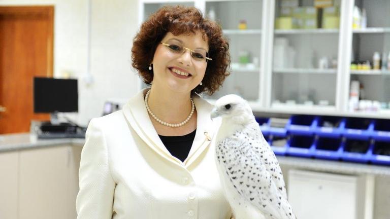 Die deutsche Tierärztin Margit Müller mit einem Falken in der Falkenklinik in Abu Dhabi.