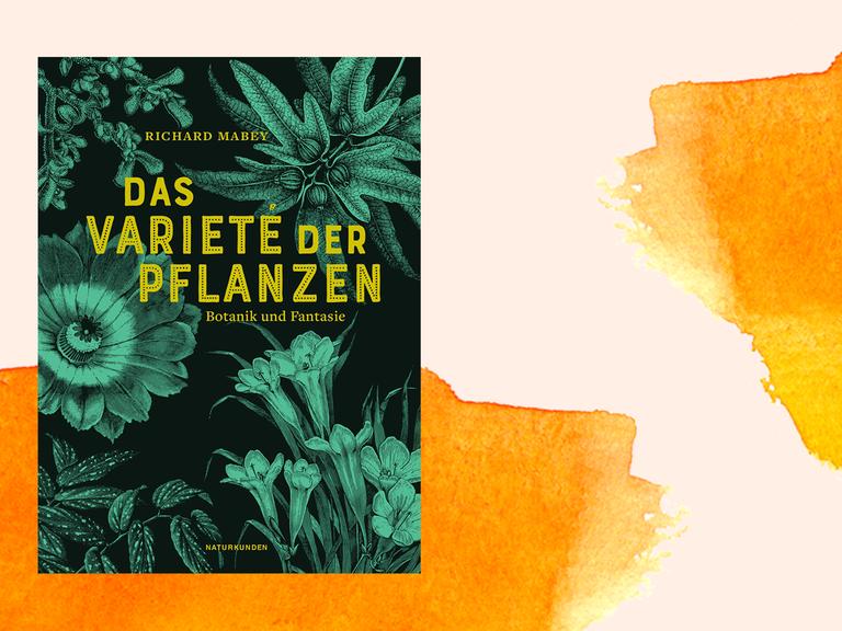 Buchcover zu Richard Mabey: Das Varieté der Pflanzen, Botanik und Fantasie. Grün eingefärbte botanische Zeichnungen von Pflanzen auf schwarzem Hintergrund.