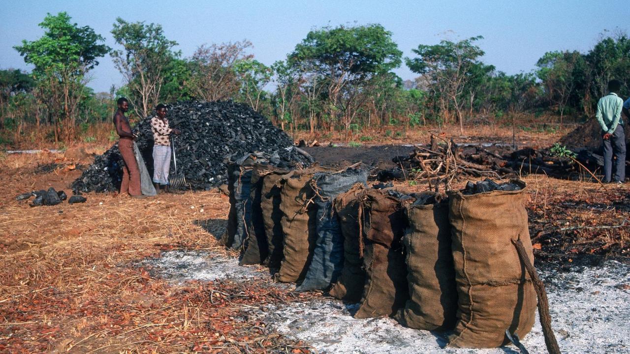 Zwei Köhler stehen vor einem Holzkohlemeiler in Sambia, im Vordergrund Säcke mit Holzkohle