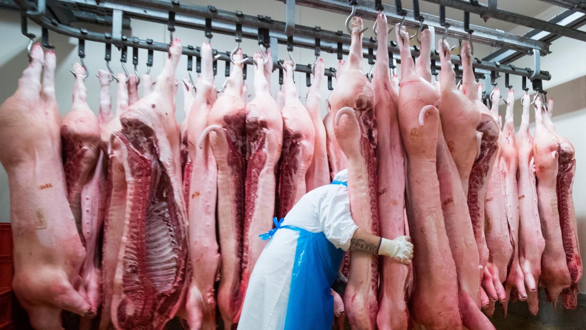 Ein Fleischermeister verschiebt Schweinehälften im Kühlraum eines Zerlegebetriebes auf dem Gelände des Fleischgroßmarkts (FGH)
