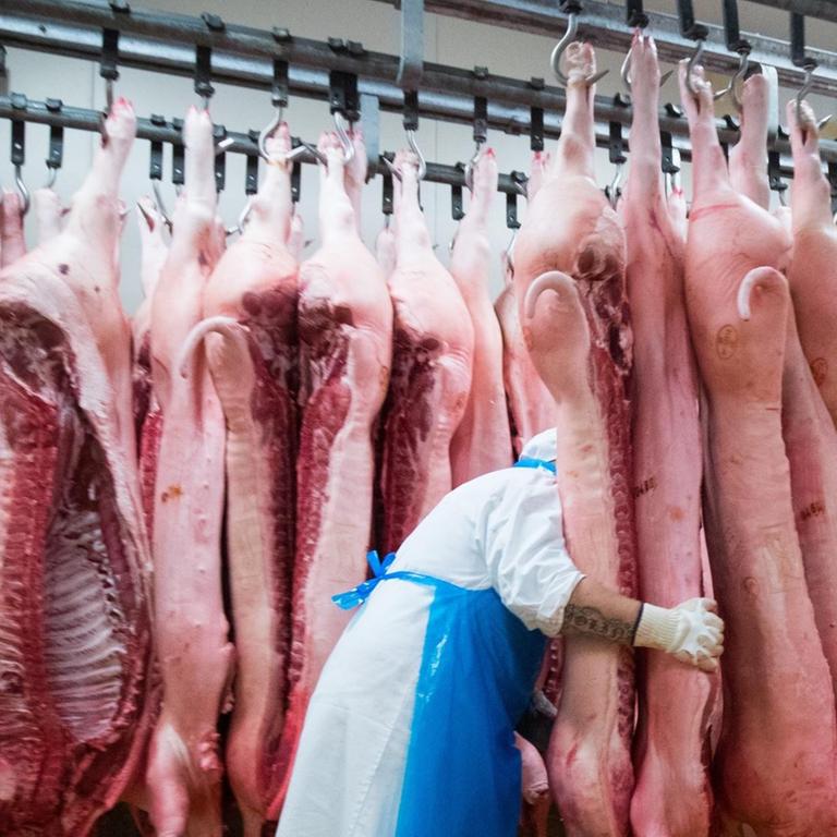 Ein Fleischermeister verschiebt Schweinehälften im Kühlraum eines Zerlegebetriebes auf dem Gelände des Fleischgroßmarkts (FGH)