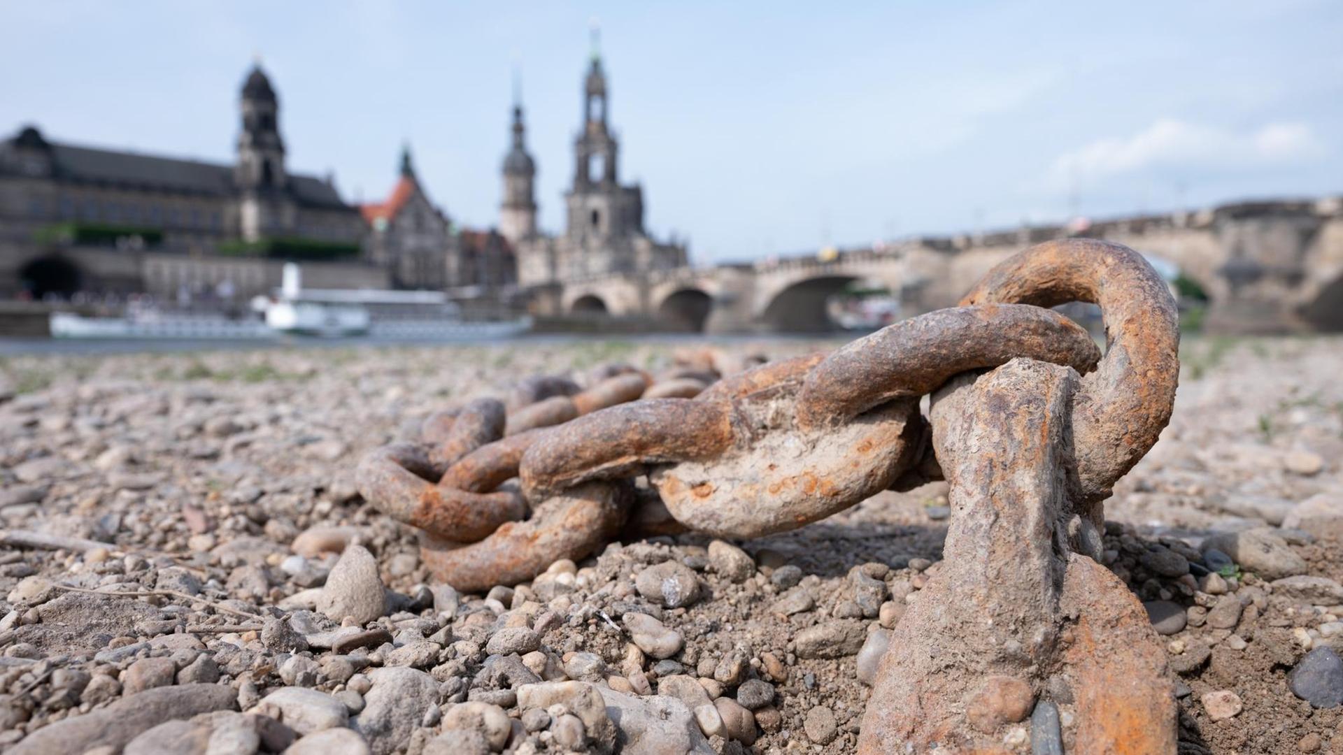 Eine Kette liegt im ausgetrockneten Flussbett am Ufer der Elbe vor der Kulisse der Altstadt