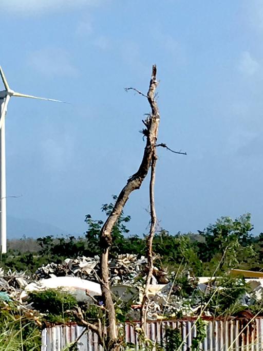 So stark war der Sturm noch nie: Windräder mit abgerissenen Rotorblättern nahe Punta Santiago