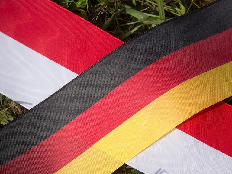 Deutsche und polnische Fahne auf dem Rasen